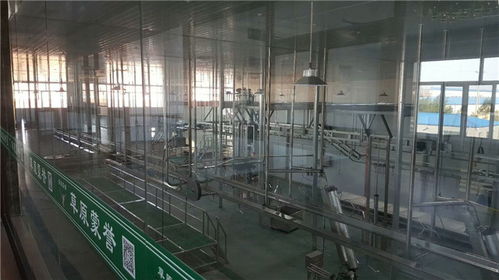 年屠宰10萬只不費勁！這家肉羊屠宰設備廠家直供方案，成本直降30%